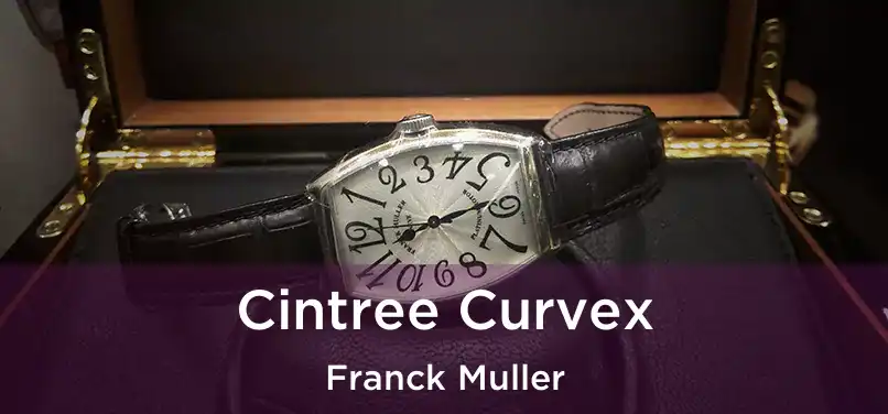  Cintree Curvex Franck Muller